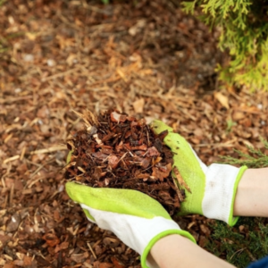 Mulch 1 cube(loose)
