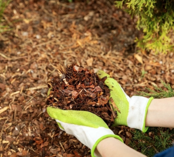 Mulch 1 cube(loose)